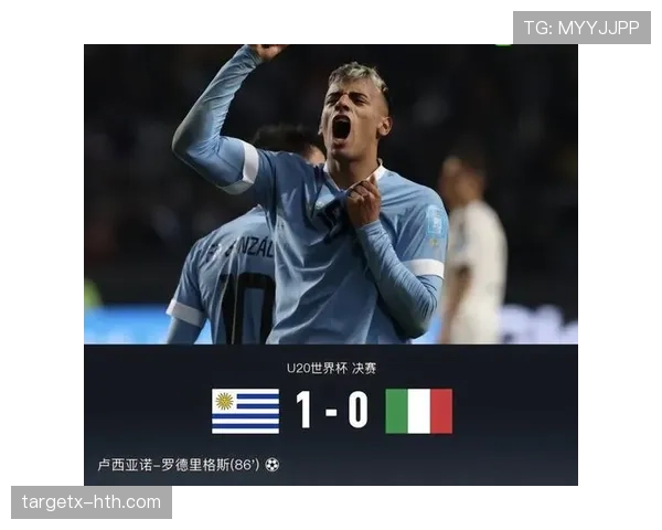 2026世界杯电子判罚系统失灵如何处理